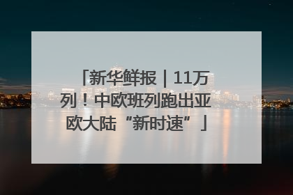 新华鲜报｜11万列！中欧班列跑出亚欧大陆“新时速”