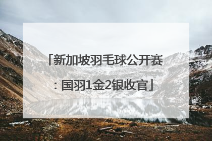 新加坡羽毛球公开赛：国羽1金2银收官