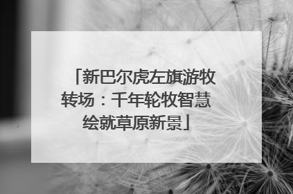 新巴尔虎左旗游牧转场：千年轮牧智慧绘就草原新景