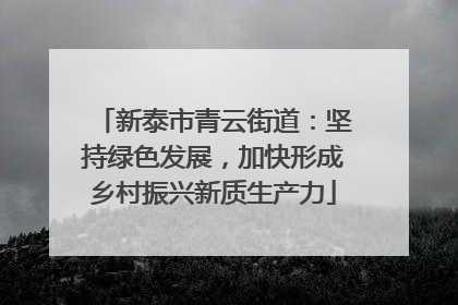 新泰市青云街道：坚持绿色发展，加快形成乡村振兴新质生产力