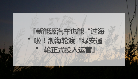 新能源汽车也能“过海”啦！渤海轮渡“绿安通” 轮正式投入运营