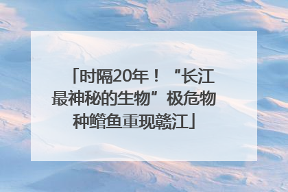 时隔20年！“长江最神秘的生物”极危物种鳤鱼重现赣江