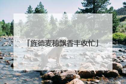 旌德麦穗飘香丰收忙
