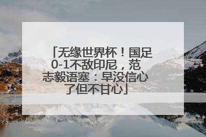 无缘世界杯！国足0-1不敌印尼，范志毅语塞：早没信心了但不甘心