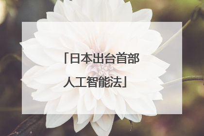 日本出台首部人工智能法