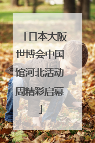 日本大阪世博会中国馆河北活动周精彩启幕