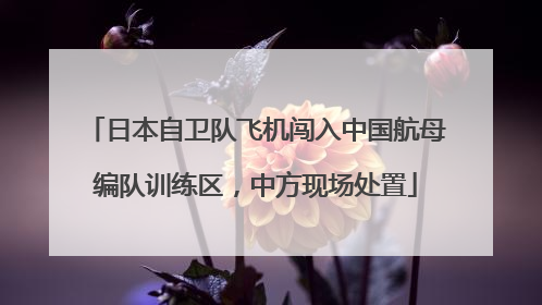 日本自卫队飞机闯入中国航母编队训练区，中方现场处置