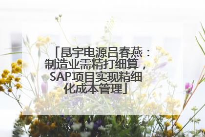 昆宇电源吕春燕：制造业需精打细算，SAP项目实现精细化成本管理
