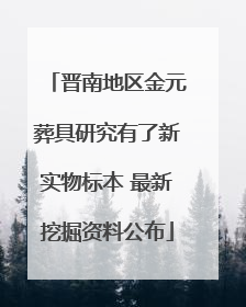 晋南地区金元葬具研究有了新实物标本 最新挖掘资料公布