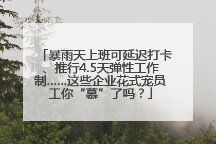 暴雨天上班可延迟打卡、推行4.5天弹性工作制……这些企业花式宠员工你“慕”了吗？