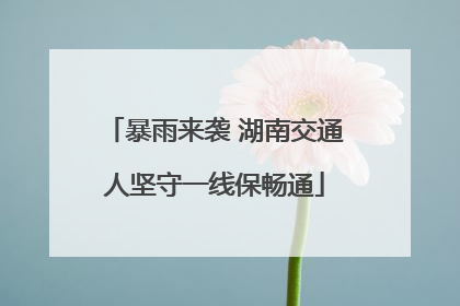 暴雨来袭 湖南交通人坚守一线保畅通