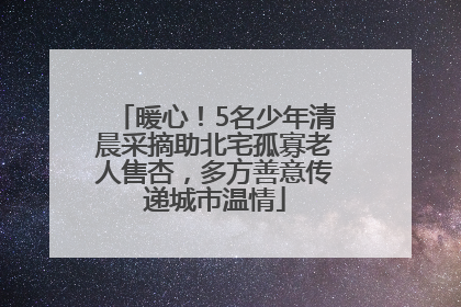 暖心！5名少年清晨采摘助北宅孤寡老人售杏，多方善意传递城市温情