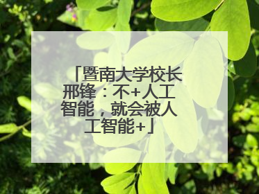暨南大学校长邢锋：不+人工智能，就会被人工智能+