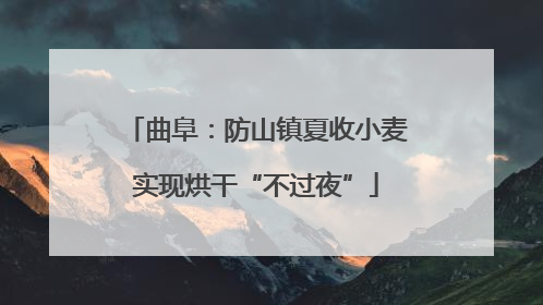 曲阜：防山镇夏收小麦实现烘干“不过夜”