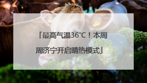 最高气温36℃！本周周济宁开启晴热模式