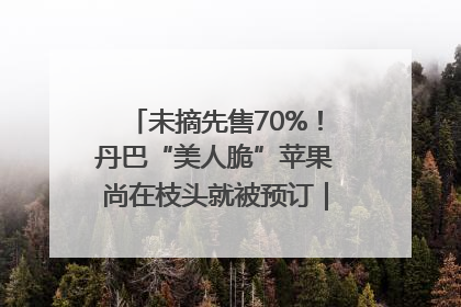 未摘先售70%！丹巴“美人脆”苹果尚在枝头就被预订｜长征路上看四川