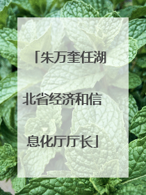 朱万奎任湖北省经济和信息化厅厅长