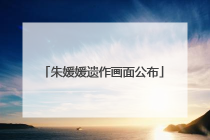 朱媛媛遗作画面公布