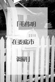 毛伟明在娄底市调研