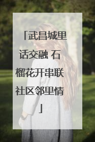 武昌城里话交融 石榴花开串联社区邻里情