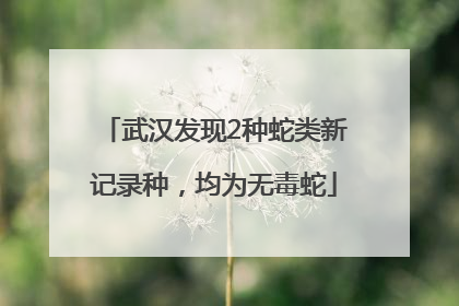武汉发现2种蛇类新记录种，均为无毒蛇