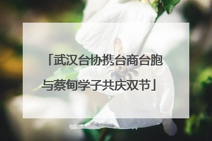 武汉台协携台商台胞与蔡甸学子共庆双节