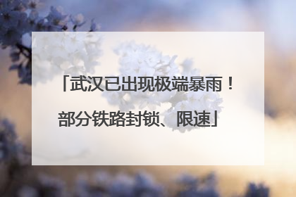 武汉已出现极端暴雨！部分铁路封锁、限速
