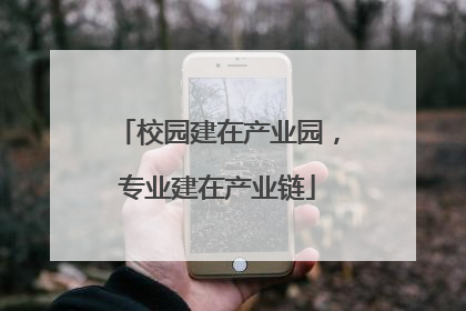 校园建在产业园，专业建在产业链
