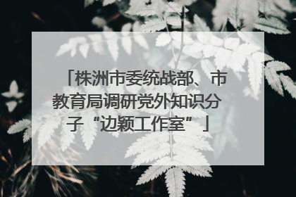 株洲市委统战部、市教育局调研党外知识分子“边颖工作室”