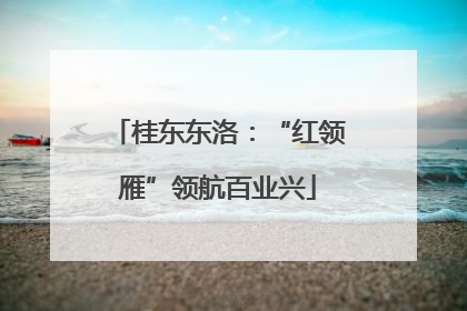 桂东东洛：“红领雁”领航百业兴
