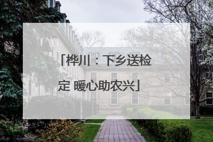 桦川：下乡送检定 暖心助农兴