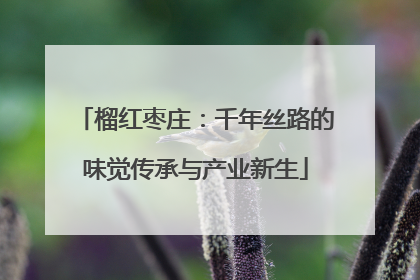 榴红枣庄：千年丝路的味觉传承与产业新生