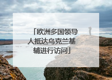 欧洲多国领导人抵达乌克兰基辅进行访问