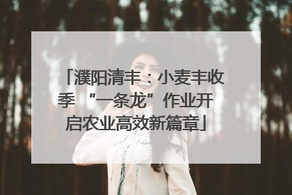 濮阳清丰：小麦丰收季 “一条龙”作业开启农业高效新篇章