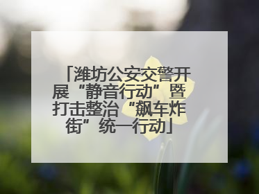 潍坊公安交警开展“静音行动”暨打击整治“飙车炸街”统一行动