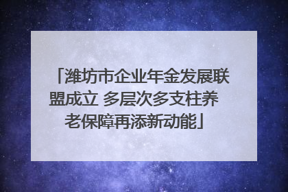 潍坊市企业年金发展联盟成立 多层次多支柱养老保障再添新动能