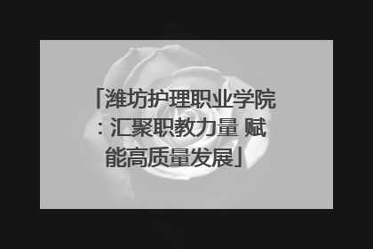 潍坊护理职业学院：汇聚职教力量 赋能高质量发展