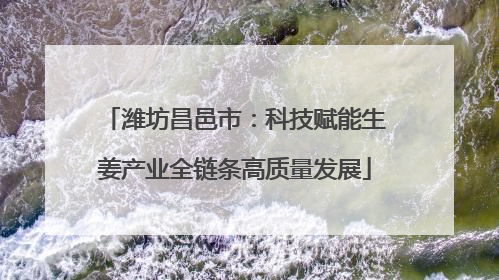 潍坊昌邑市：科技赋能生姜产业全链条高质量发展