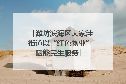 潍坊滨海区大家洼街道以“红色物业”赋能民生服务