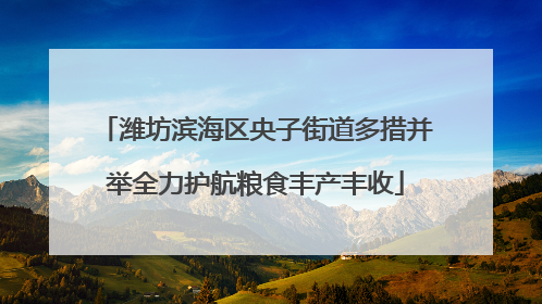潍坊滨海区央子街道多措并举全力护航粮食丰产丰收