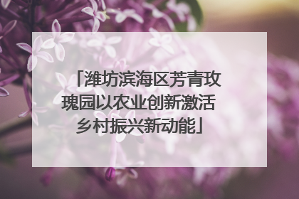 潍坊滨海区芳青玫瑰园以农业创新激活乡村振兴新动能