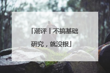 潮评丨不搞基础研究，就没根