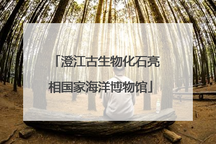 澄江古生物化石亮相国家海洋博物馆