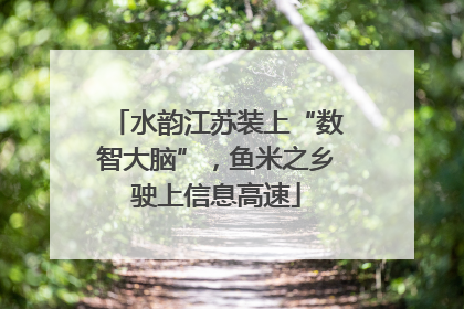水韵江苏装上“数智大脑”，鱼米之乡驶上信息高速