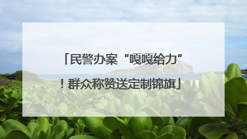 民警办案“嘎嘎给力”！群众称赞送定制锦旗