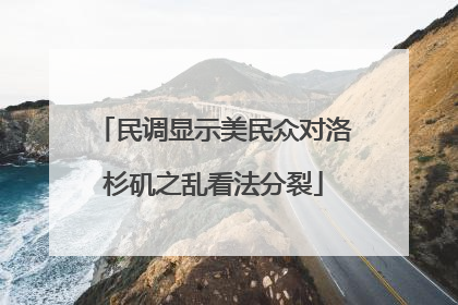民调显示美民众对洛杉矶之乱看法分裂
