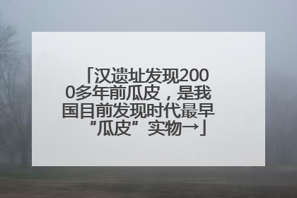 汉遗址发现2000多年前瓜皮，是我国目前发现时代最早“瓜皮”实物→