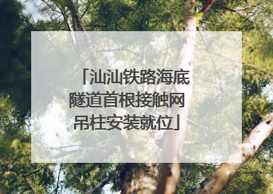 汕汕铁路海底隧道首根接触网吊柱安装就位