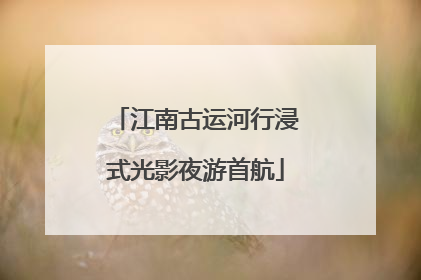 江南古运河行浸式光影夜游首航