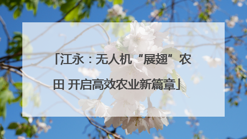 江永：无人机“展翅”农田 开启高效农业新篇章